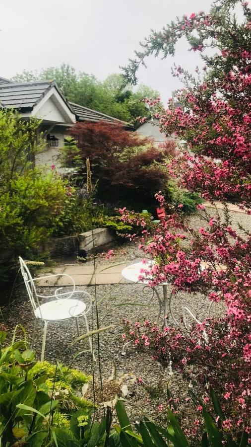 A Selection Of Self Catering Holiday Homes At Kilcloon Cottages Maynooth Kültér fotó