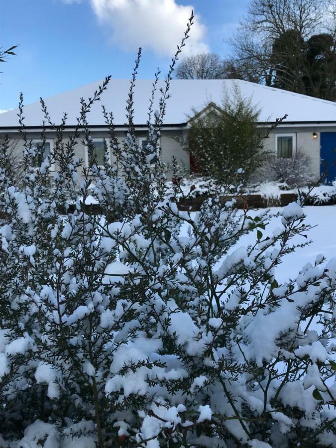 A Selection Of Self Catering Holiday Homes At Kilcloon Cottages Maynooth Kültér fotó