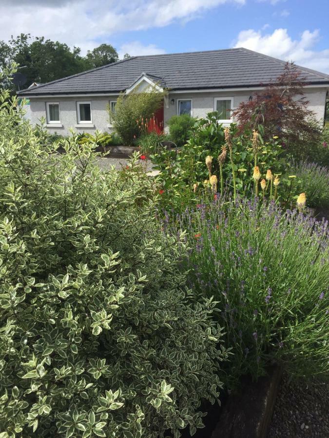 A Selection Of Self Catering Holiday Homes At Kilcloon Cottages Maynooth Kültér fotó